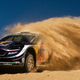 Image for article titled Rally Mexico Winner Sébastien Ogier Nearly Lost It Saving A Dog's Life